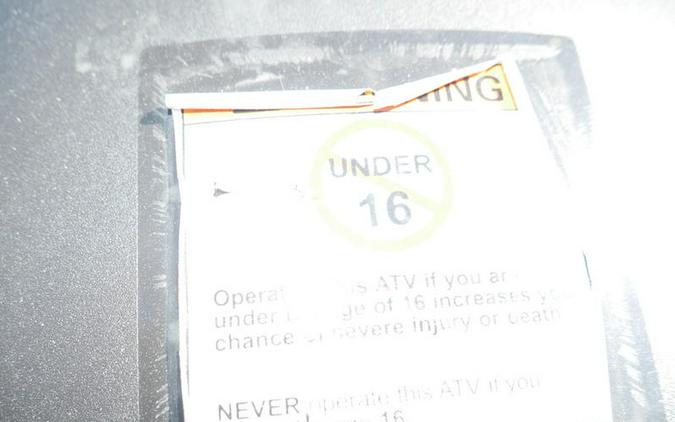 2025 Kawasaki Brute Force® 300