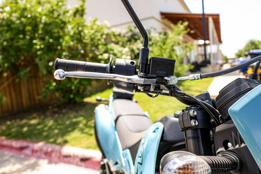 2025 KAWASAKI KLX300SM