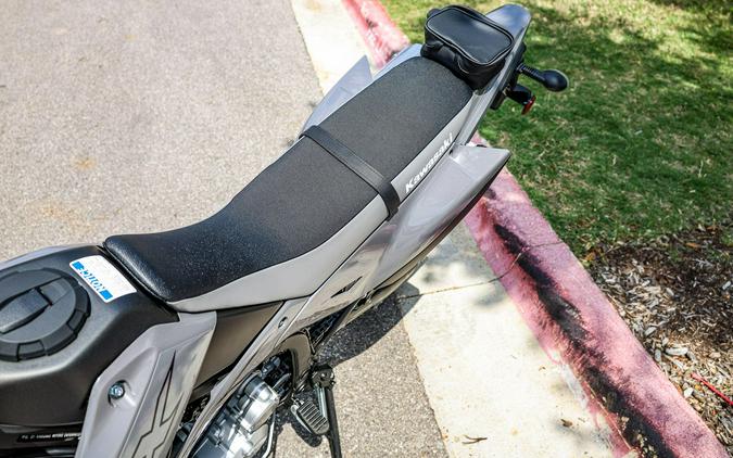 2025 KAWASAKI KLX300SM