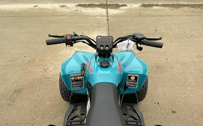 2026 Can-Am® Renegade 110 EFI Blue