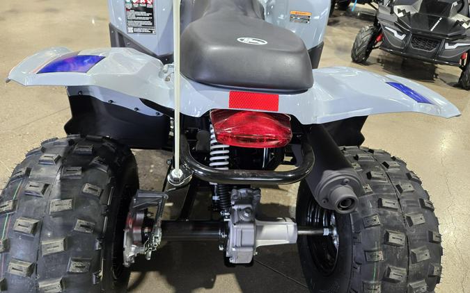 2026 POLARIS PHOENIX 200