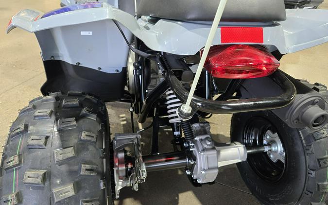 2026 POLARIS PHOENIX 200