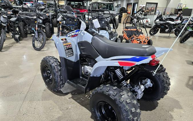 2026 POLARIS PHOENIX 200