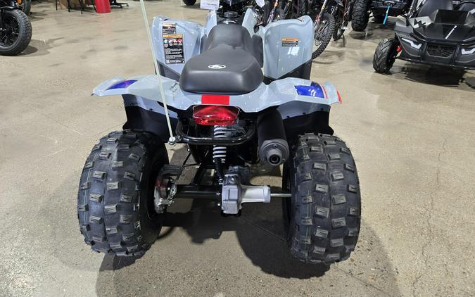 2026 POLARIS PHOENIX 200