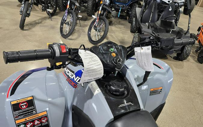 2026 POLARIS PHOENIX 200