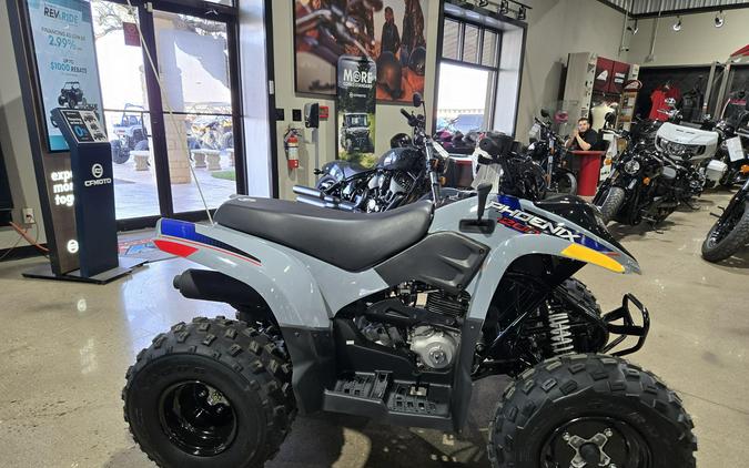 2026 POLARIS PHOENIX 200