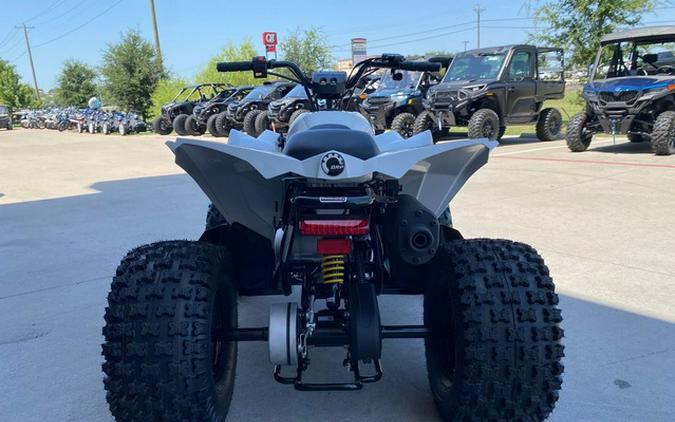 2026 Can-Am Renegade 110 EFI