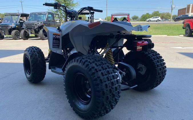 2026 Can-Am Renegade 110 EFI
