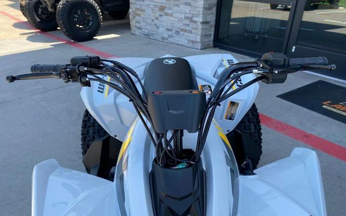 2026 Can-Am Renegade 110 EFI
