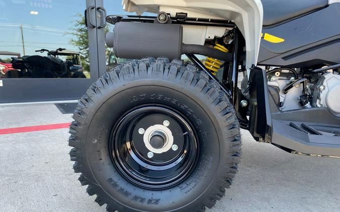2026 Can-Am Renegade 110 EFI