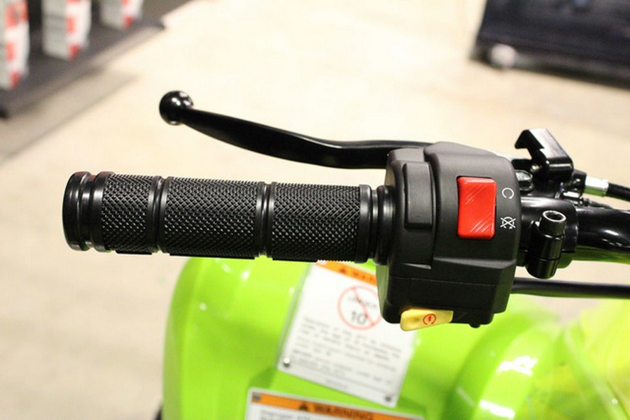 2026 Yamaha Raptor 110