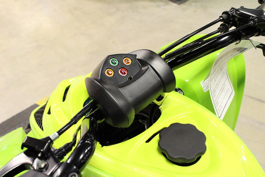 2026 Yamaha Raptor 110