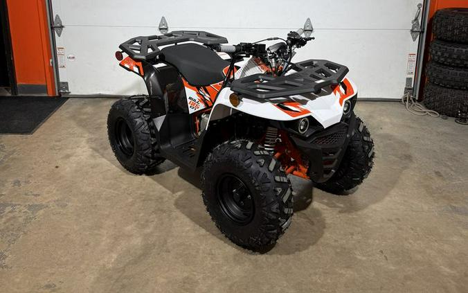 2026 Kayo Bull 125 EFI