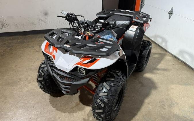2026 Kayo Bull 125 EFI