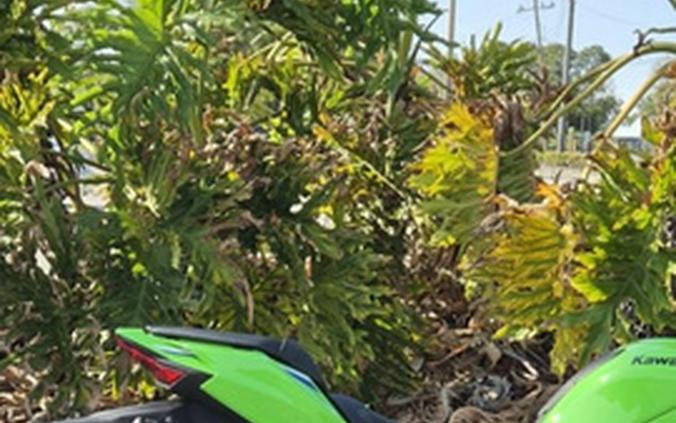 2026 Kawasaki Ninja ZX-10R