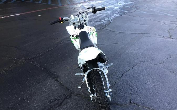 2026 KAWASAKI KLX110R
