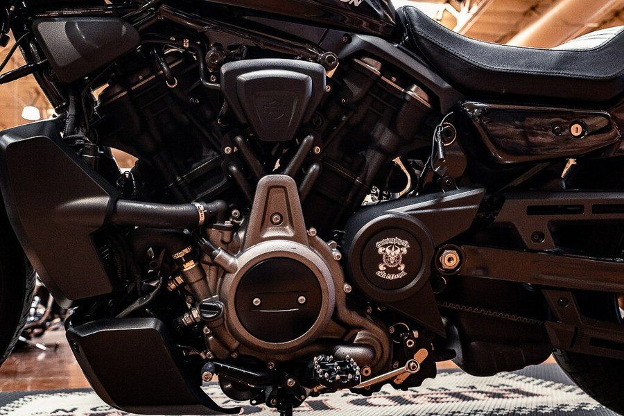 2022 Harley-Davidson Sportster Nightster