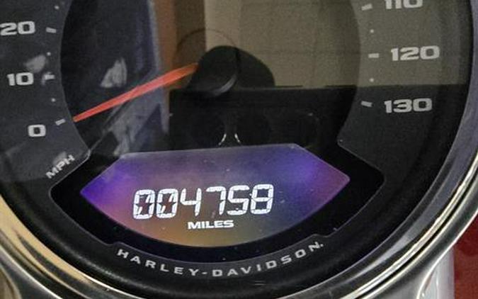 2019 Harley-Davidson Fat Boy® 107