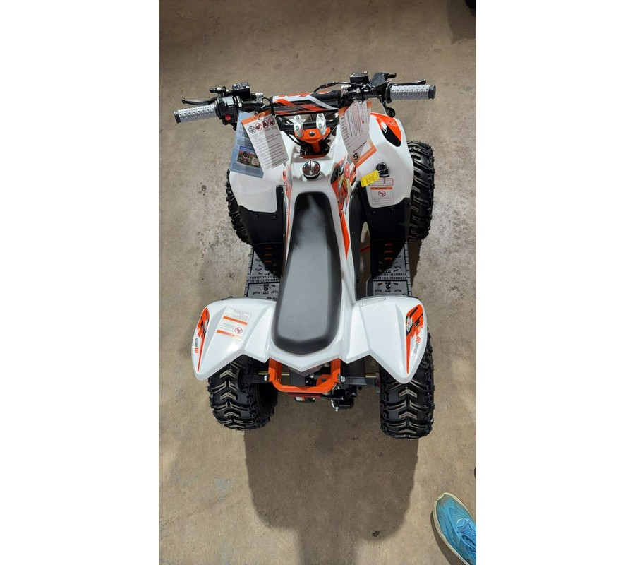 2026 Kayo Fox / Storm 70