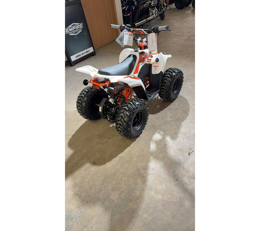 2026 Kayo Fox / Storm 70
