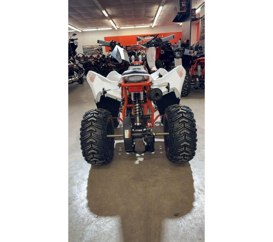 2026 Kayo Fox / Storm 70
