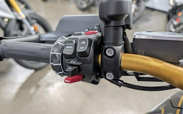 2026 BMW R 1300 GS Option 719