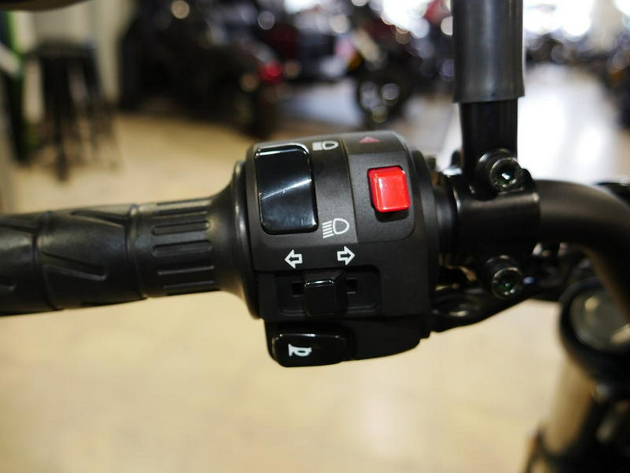 2025 Kawasaki Eliminator®