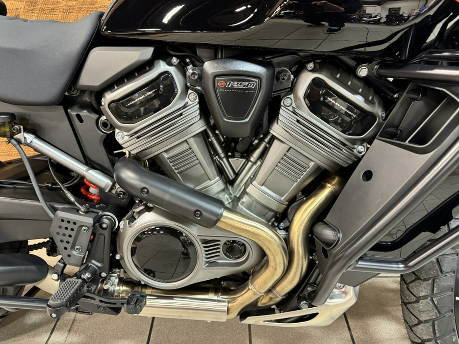 2026 Pan America Special Vivid Black RA1250S