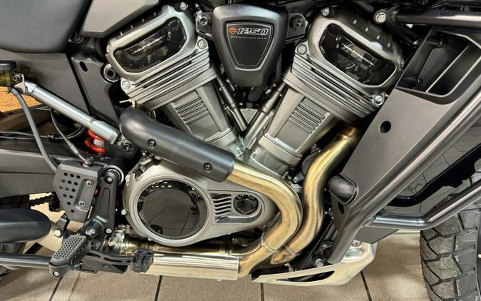 2026 Pan America Special Vivid Black RA1250S