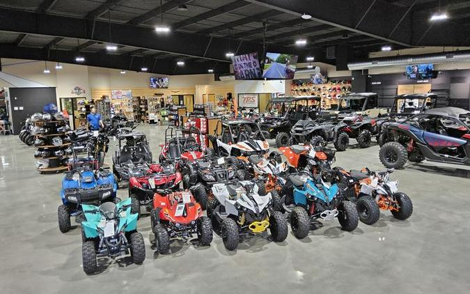 2025 Honda® Pioneer 1000