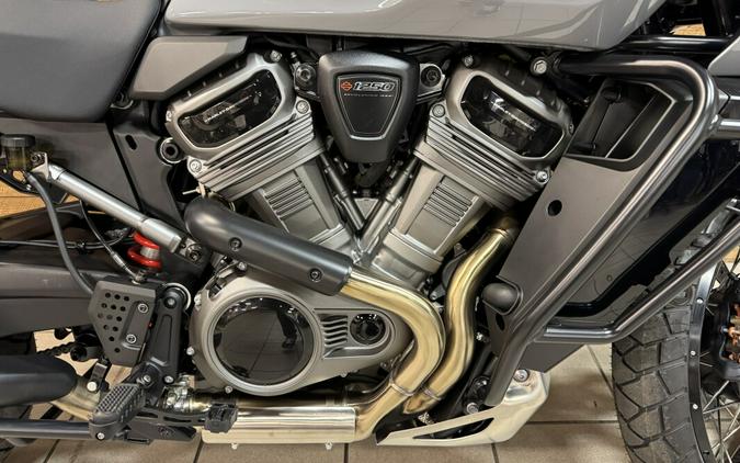 2026 Pan America Special Dark Billiard Gray RA1250S