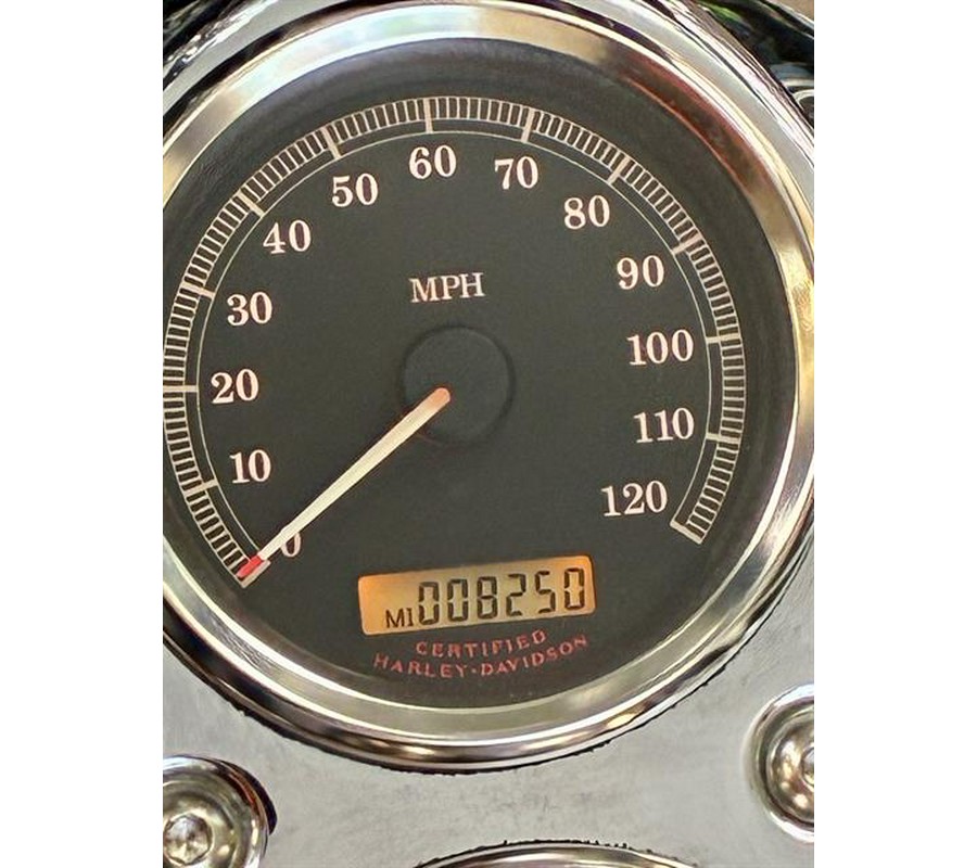 2006 Harley-Davidson Dyna™ Low Rider®