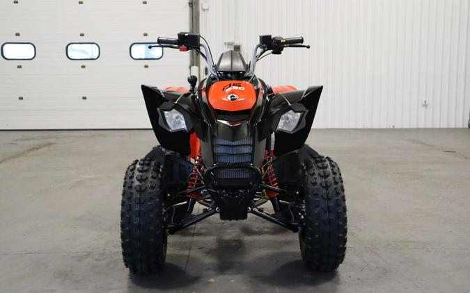 2024 Can-Am® DS 250