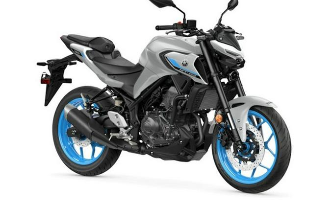 2025 Yamaha MT 03