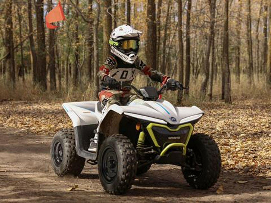 2024 CFMOTO CForce EV110