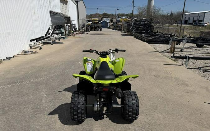 2026 Yamaha Raptor 110