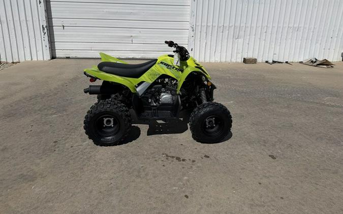 2026 Yamaha Raptor 110