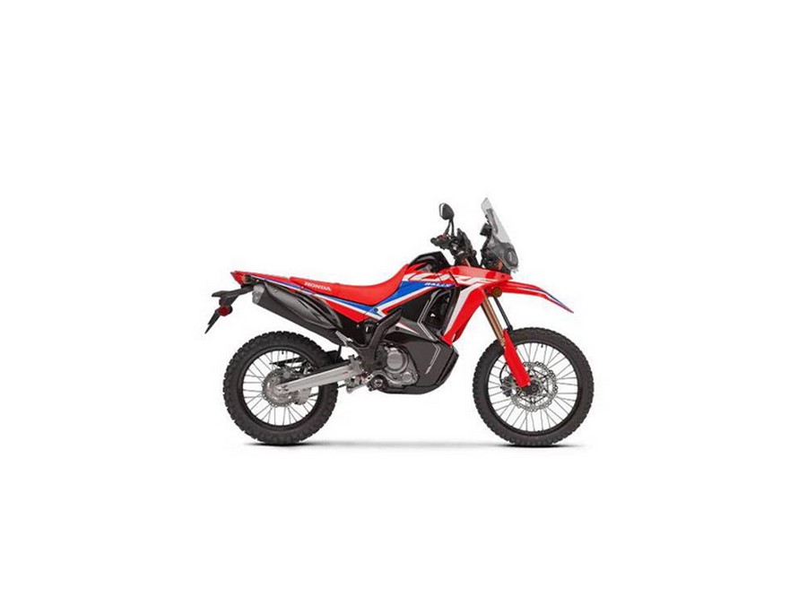 2024 HONDA CRF300L RALLY 300L Rally