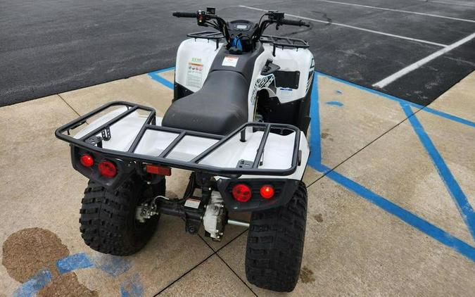 2022 Kawasaki Brute Force® 300