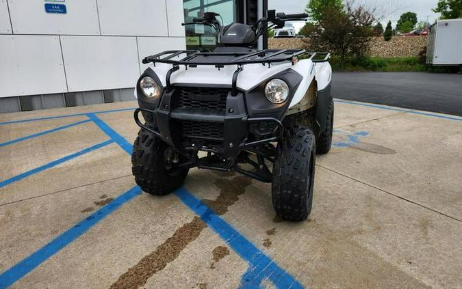 2022 Kawasaki Brute Force® 300