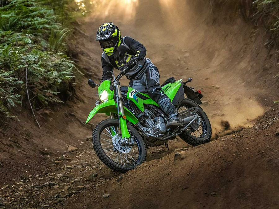 2026 Kawasaki KLX 300