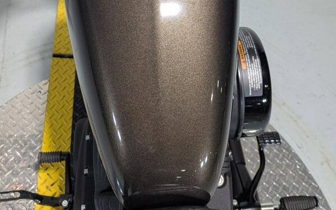 2020 Harley-Davidson® Iron 883™ River Rock Gray