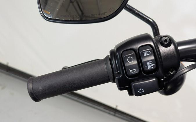 2020 Harley-Davidson® Iron 883™ River Rock Gray