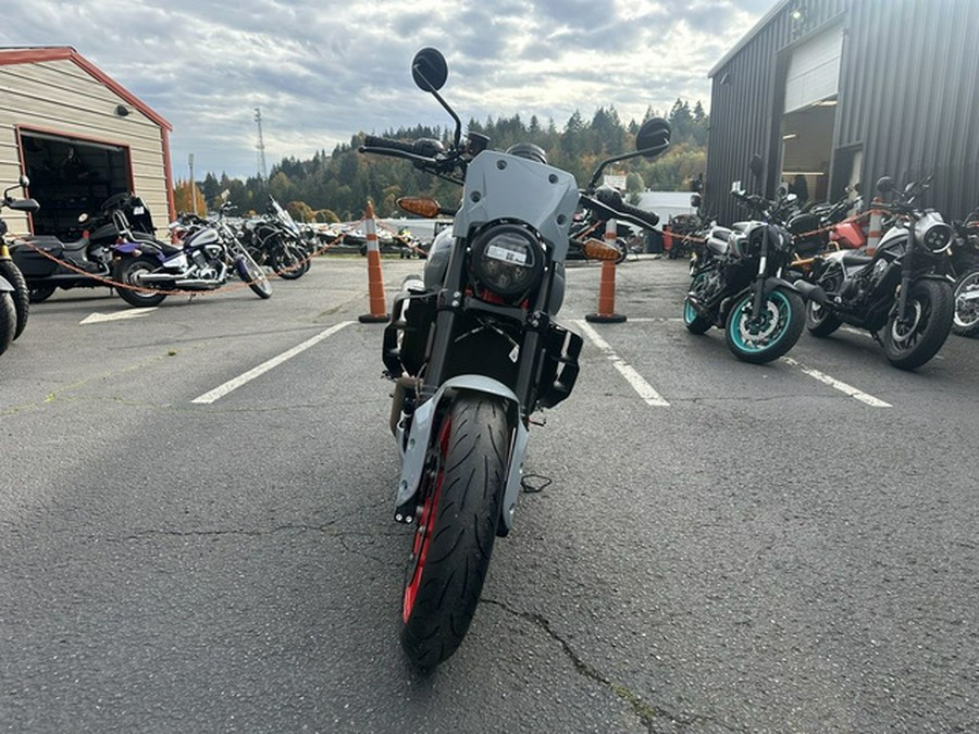 2024 Indian FTR Sport Storm Gray/Red