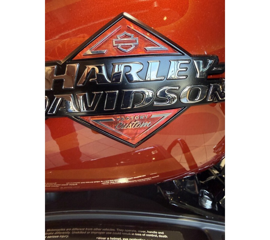 FLTRX 2025 Road Glide™