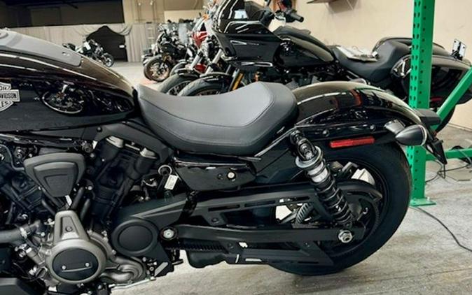 2024 Harley-Davidson® RH975 - Nightster®