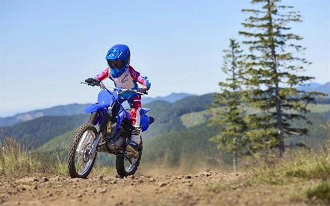 2027 Yamaha TT-R125LE
