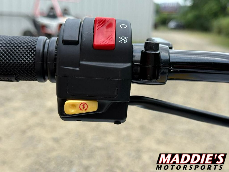 2026 Can-Am Renegade 110 EFI