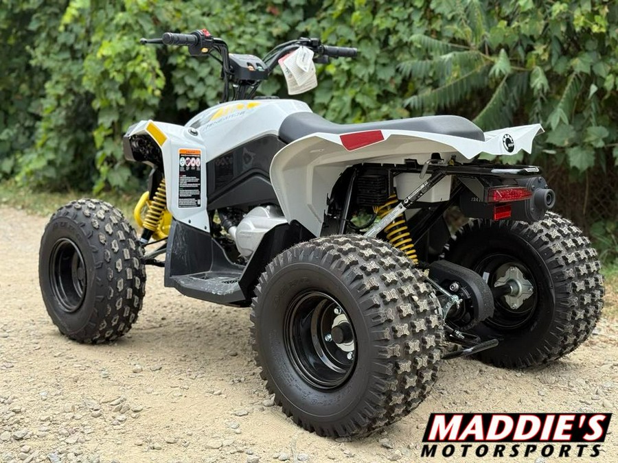2026 Can-Am Renegade 110 EFI