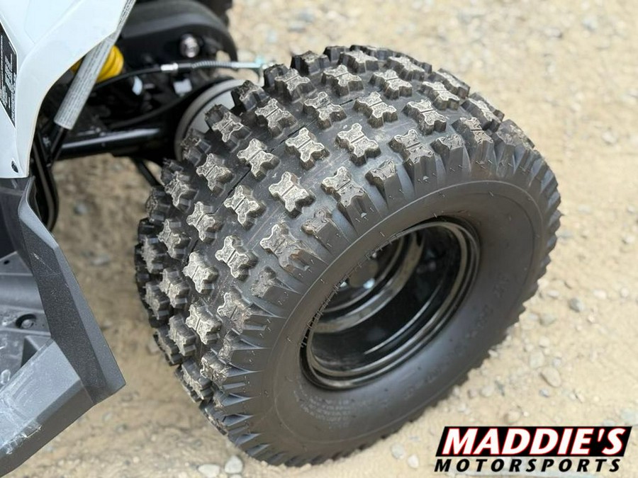 2026 Can-Am Renegade 110 EFI